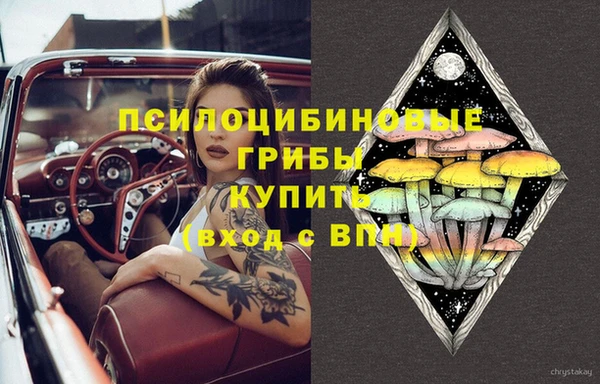 сатива Навашино